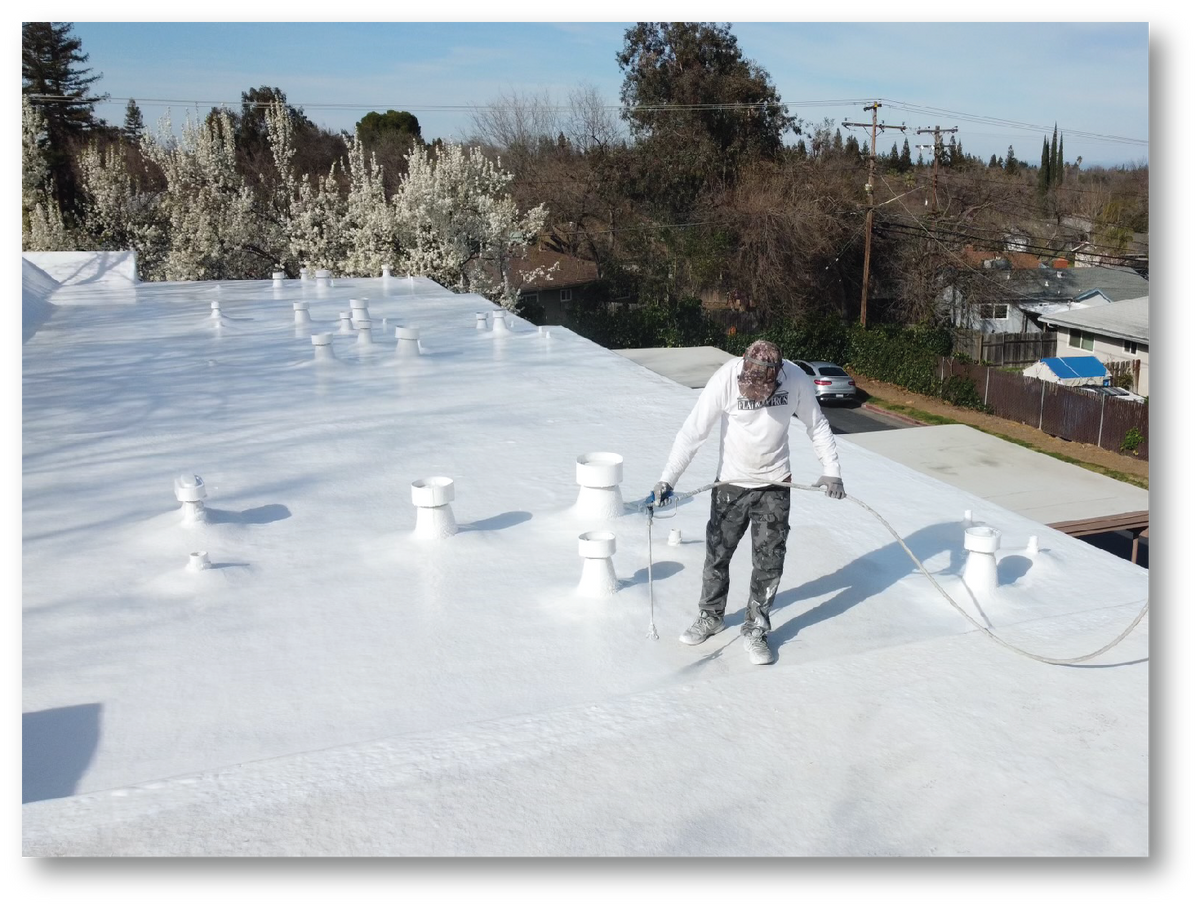Roof Seal: Oxime Silicone